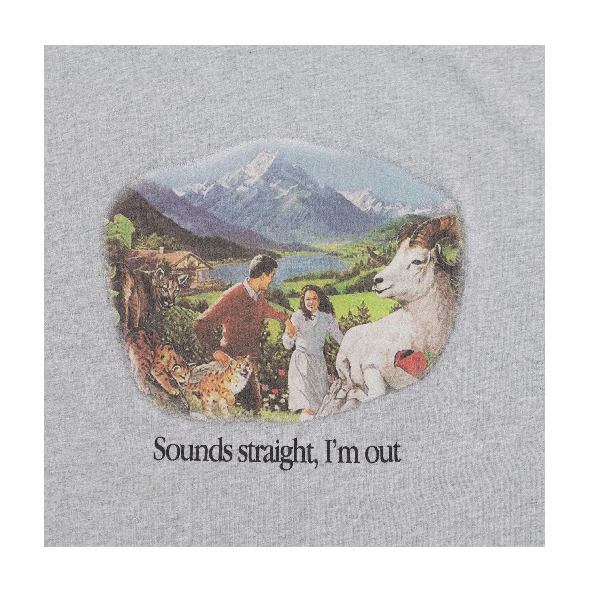 Carne Bollente Sounds Straight, I'm Out  T-Shirt (Melange Grey) - Image 2
