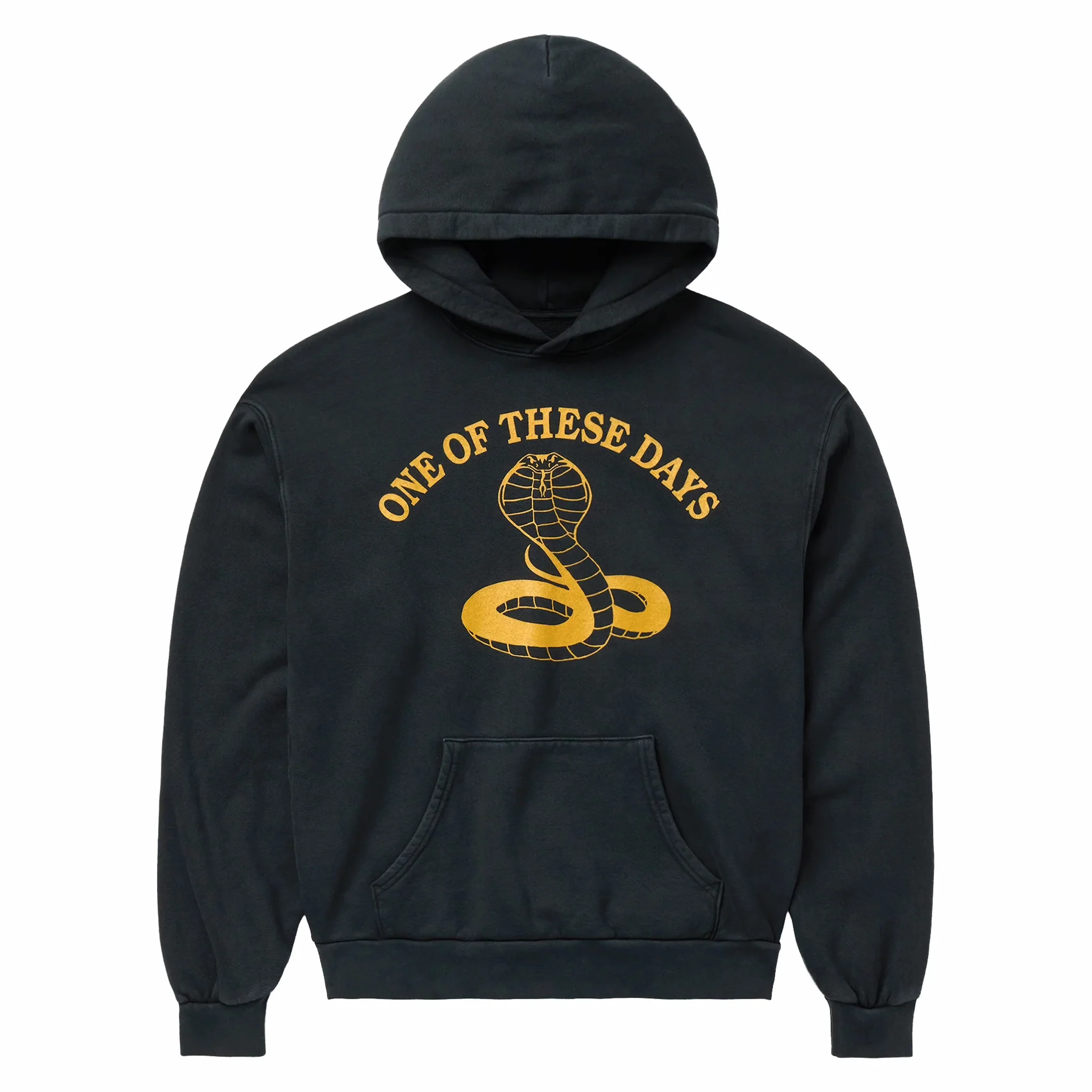 One Of These Days Cobra Hooded Sweatshirt (Washed Black)