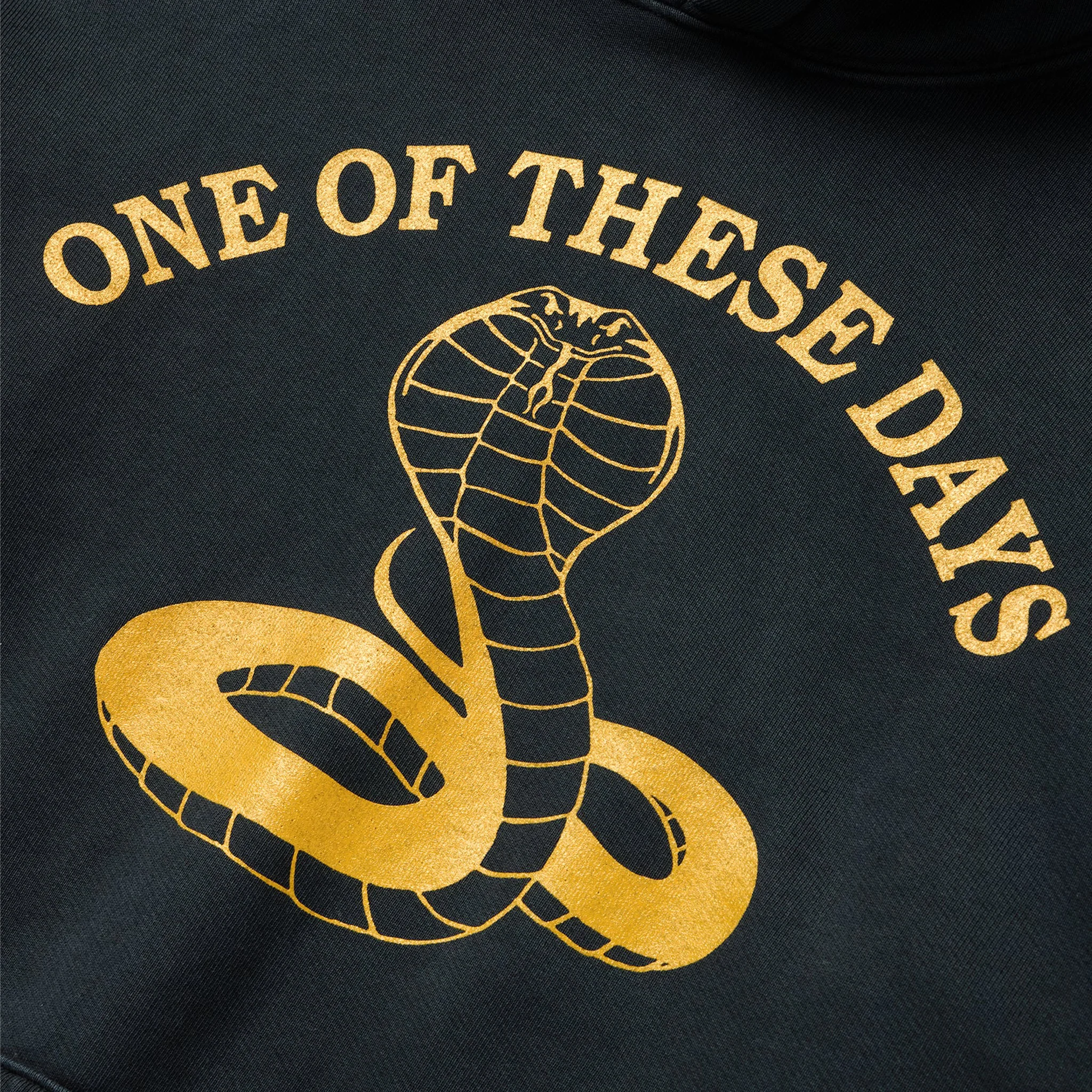 One Of These Days Cobra Hooded Sweatshirt (Washed Black) - Image 2