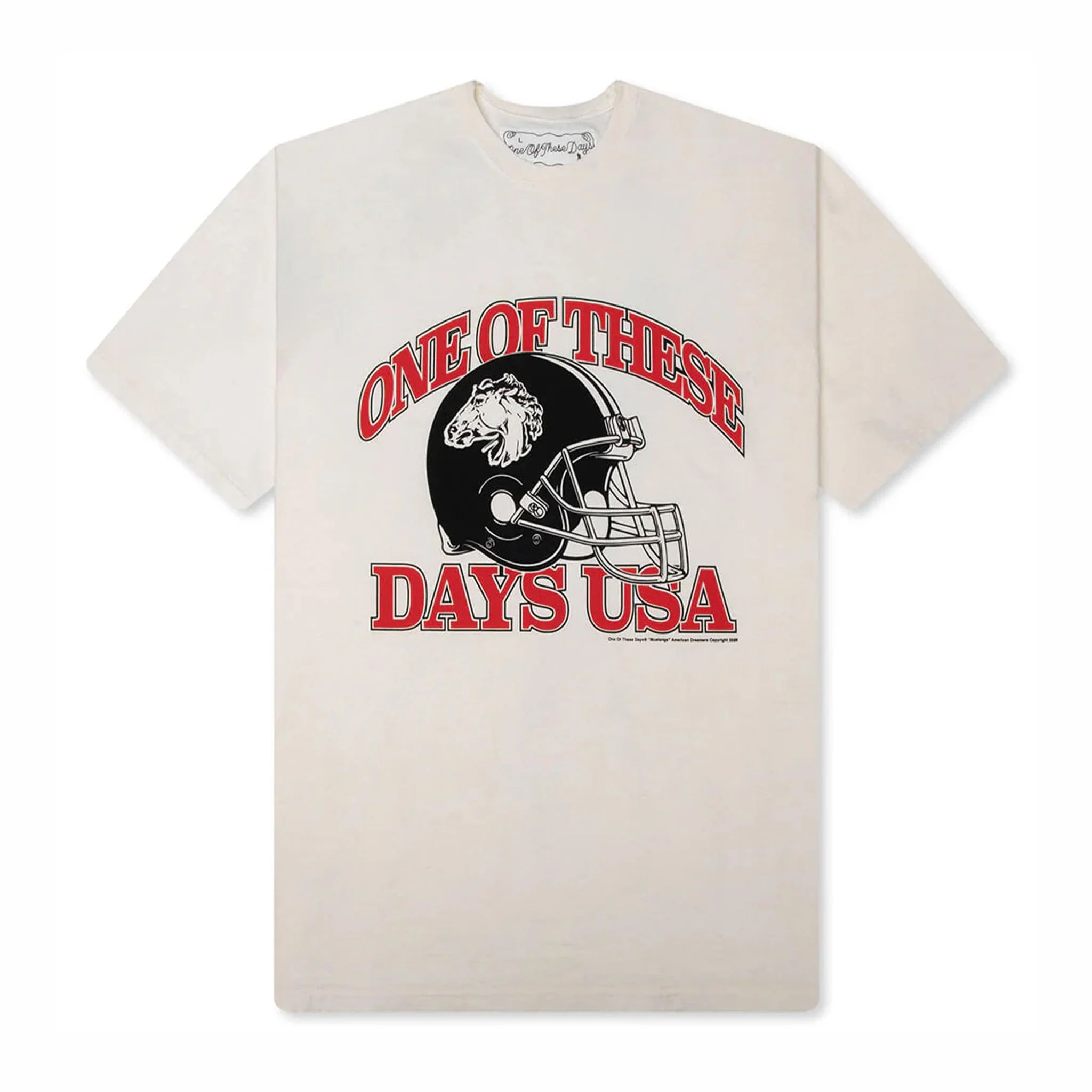 One Of These Days Days USA T-Shirt (Bone)