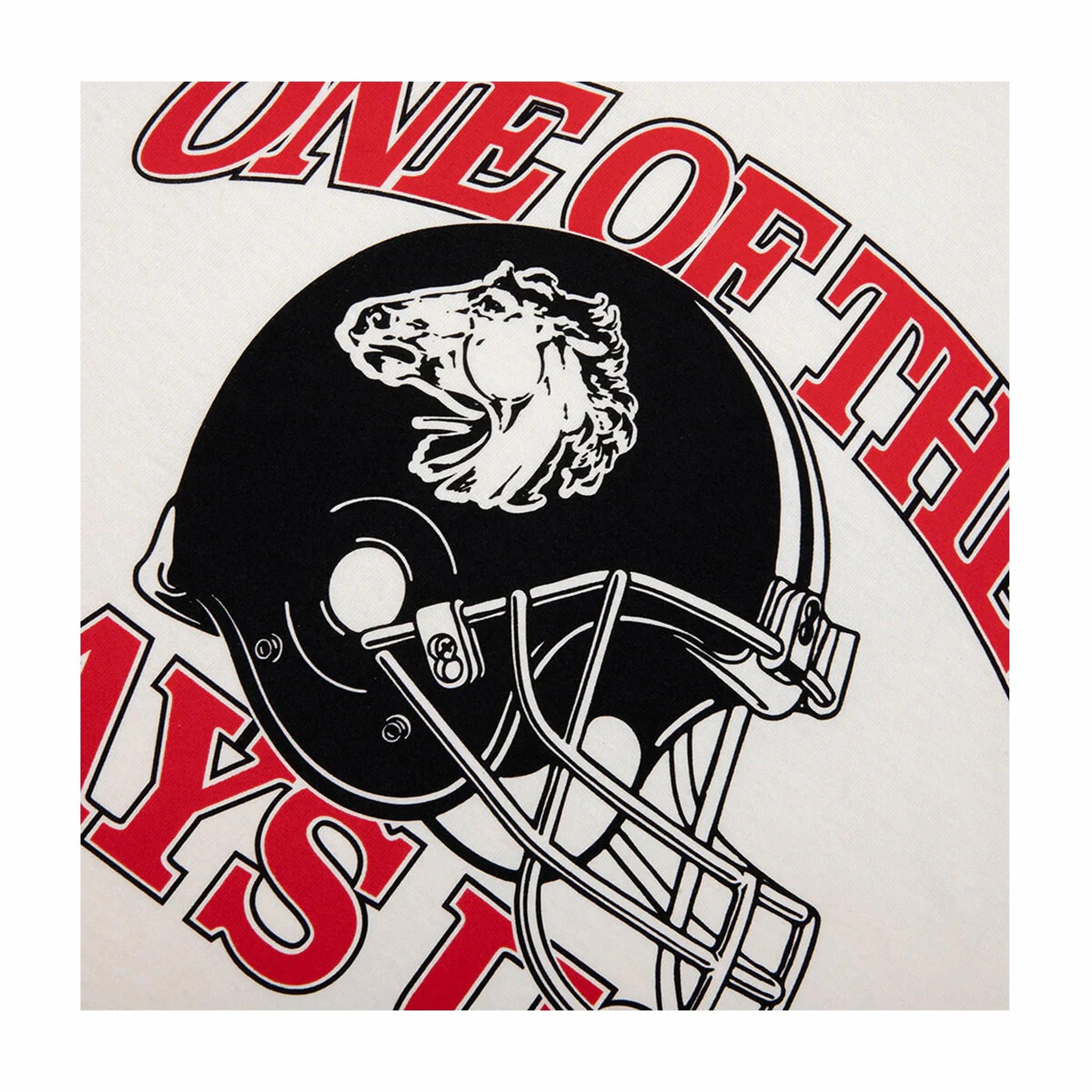One Of These Days Days USA T-Shirt (Bone) - Image 2