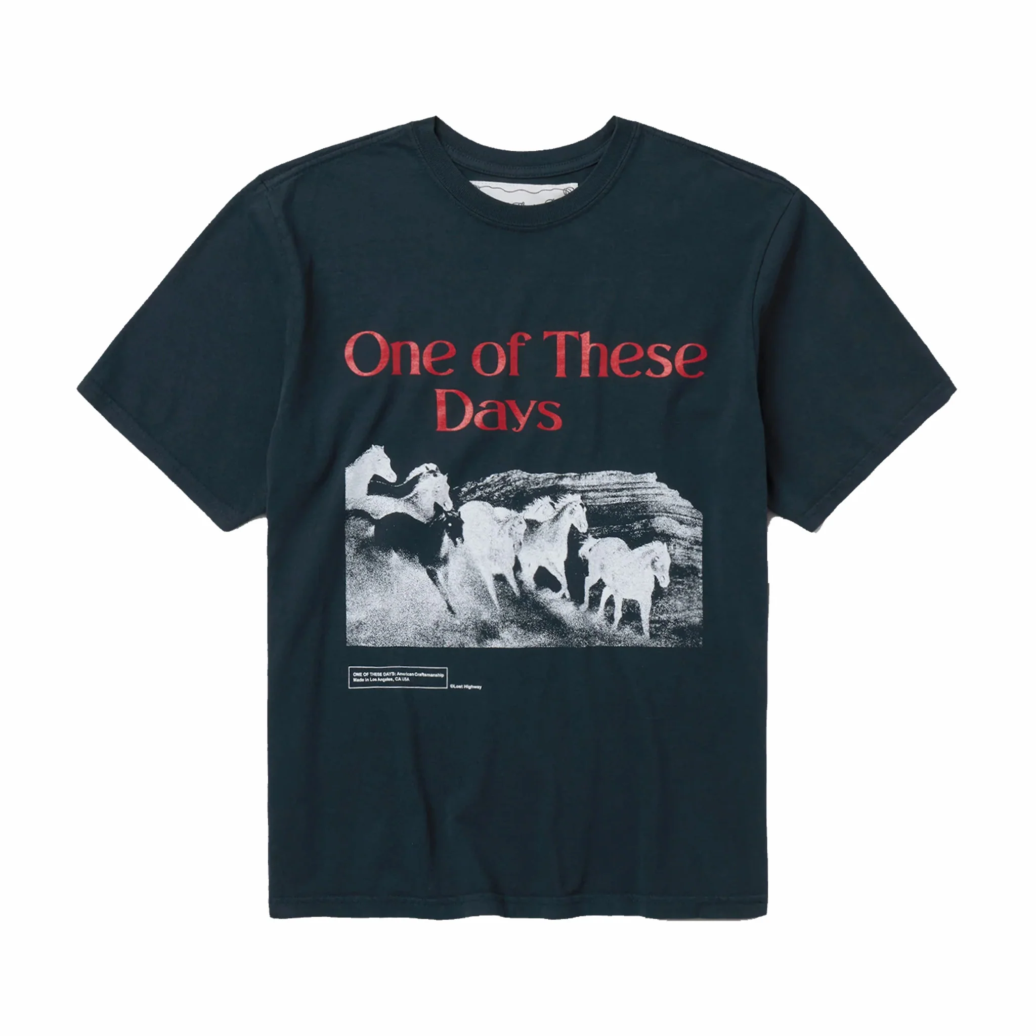 One Of These Days Glad You're Here With Me Tee (Hard Washed Black)