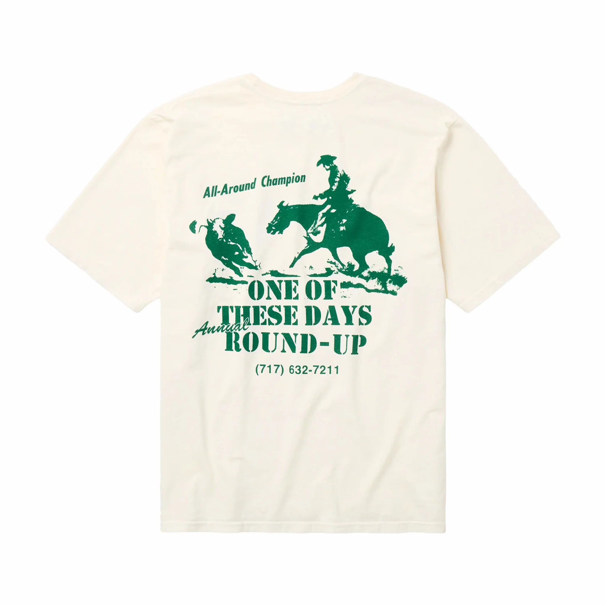 One Of These Days Round Up T-Shirt (Bone) - Image 2
