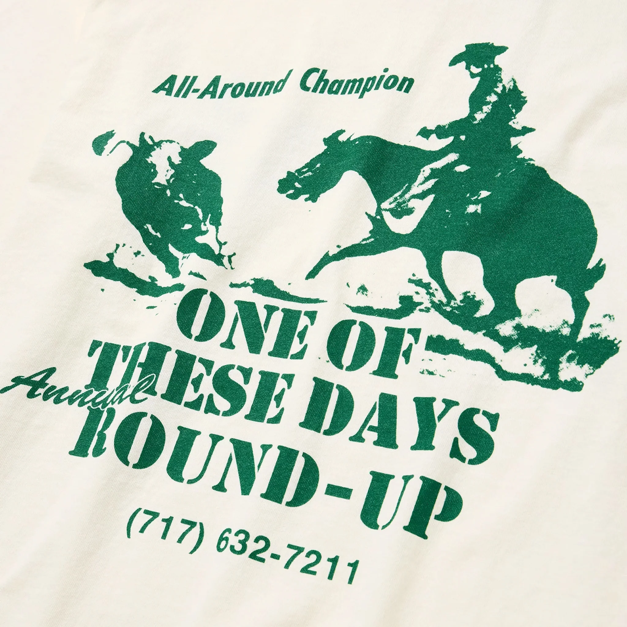 One Of These Days Round Up T-Shirt (Bone) - Image 4