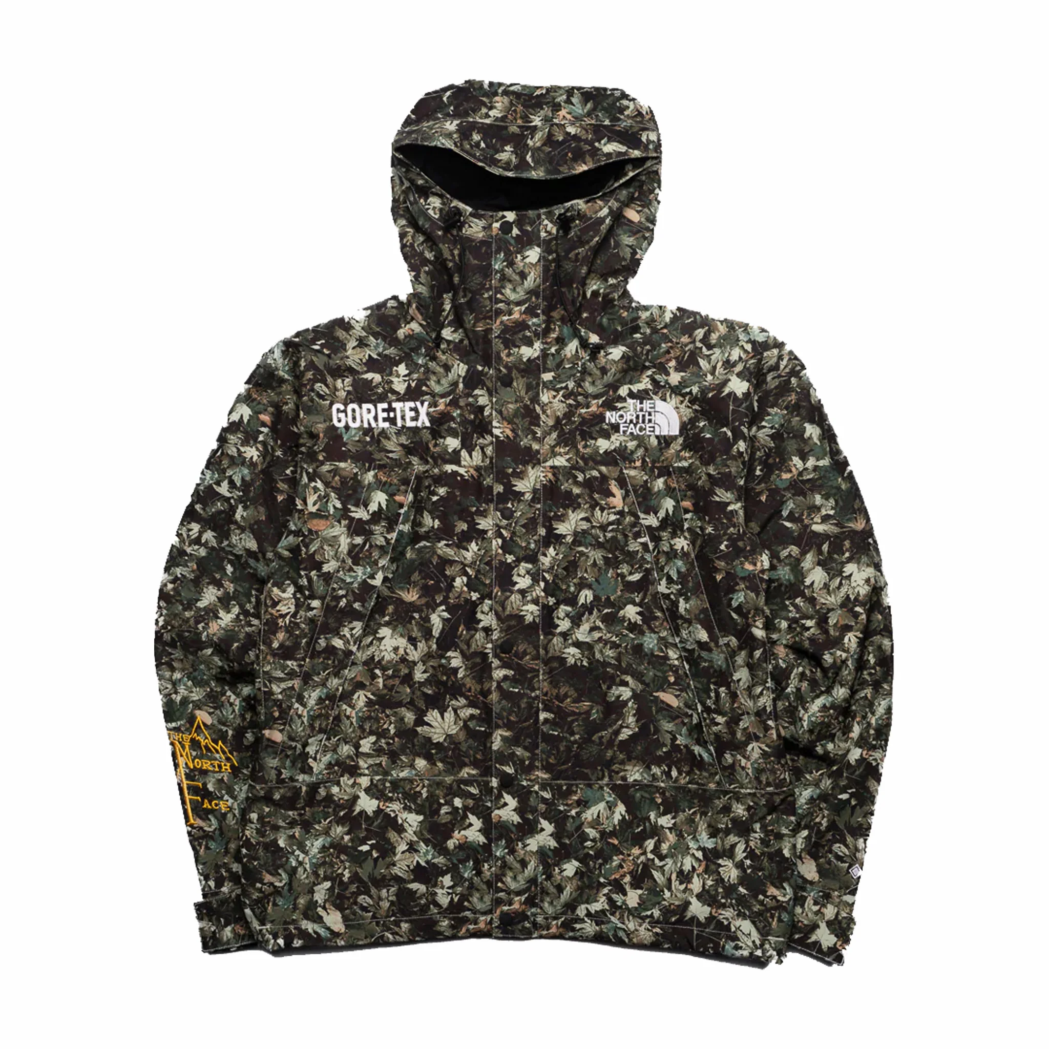 The North Face Men’s GTX Mountain Jacket (Misty Sage Fallen Leaves Print)